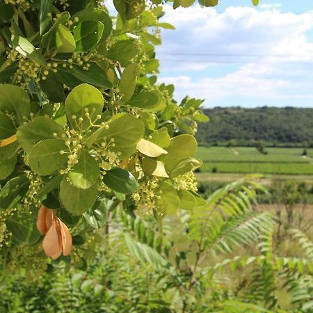 Vila Flora Sečovlje Buitenkant foto