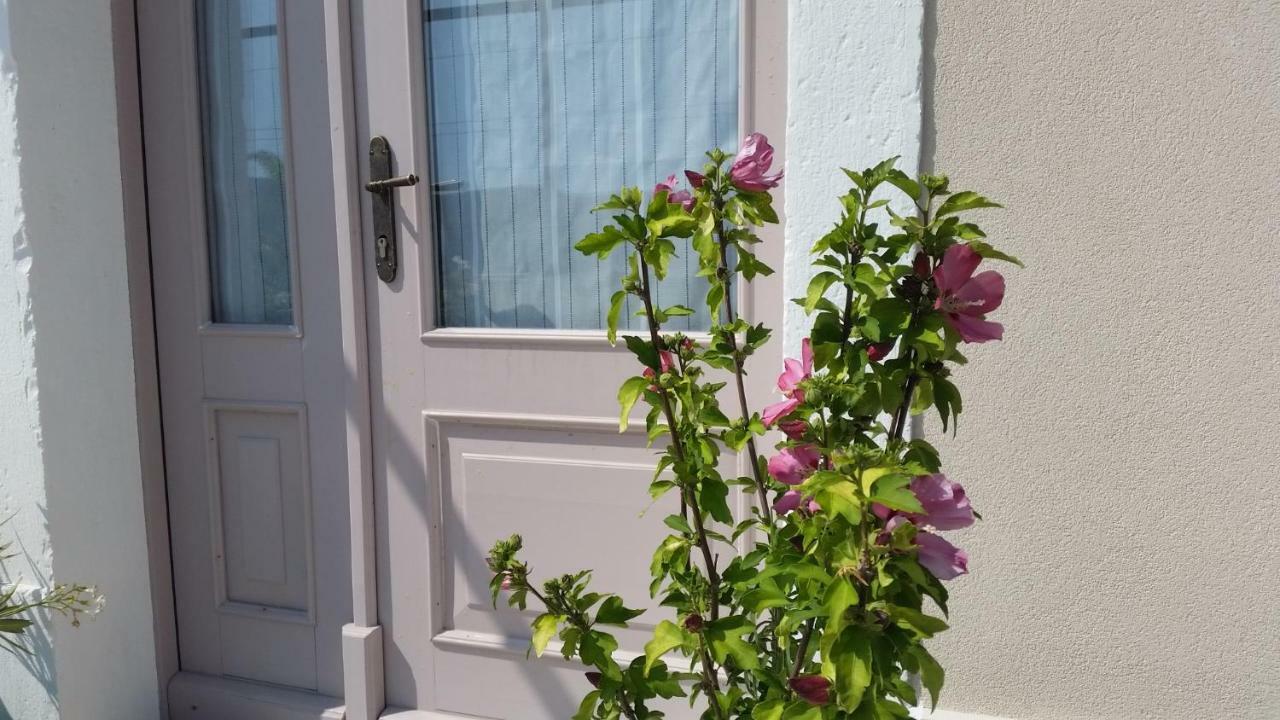 Vila Flora Sečovlje Buitenkant foto