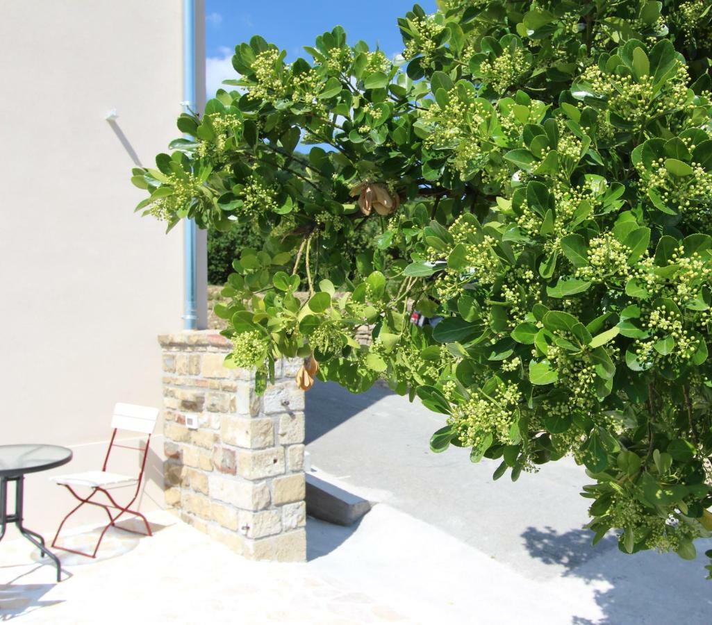Vila Flora Sečovlje Buitenkant foto